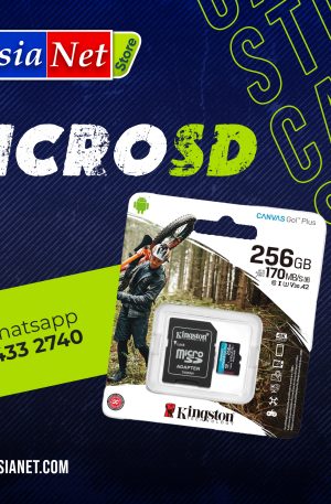 MicroSD