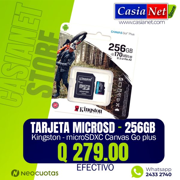 Kingston - 256GB microSDXC Canvas Go Plus